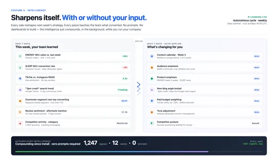 Nimble AI Marketing Team screenshot