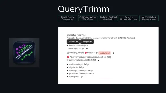 QueryTrim: Functions Analyzer screenshot