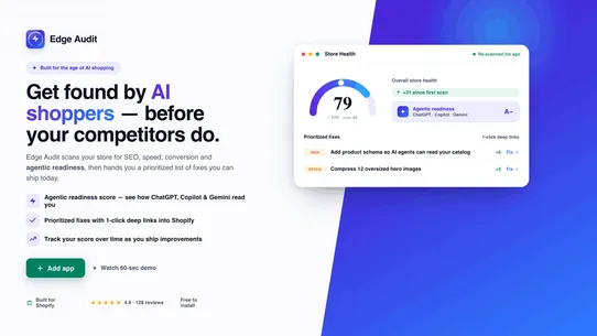Edge Audit screenshot