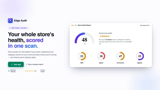 Edge Audit screenshot