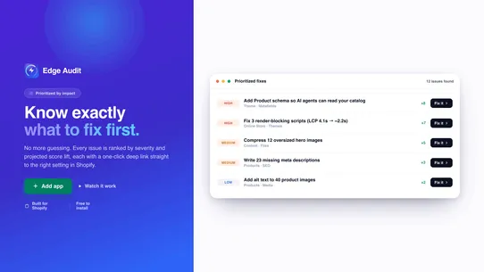 Edge Audit screenshot