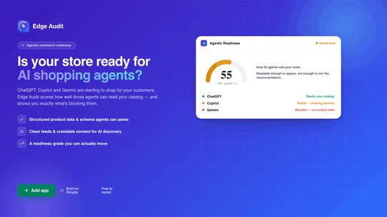 Edge Audit screenshot