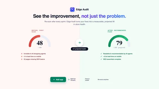 Edge Audit screenshot