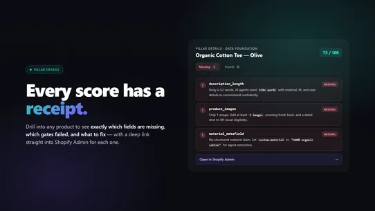 Noema ‑ AI Search Readiness screenshot