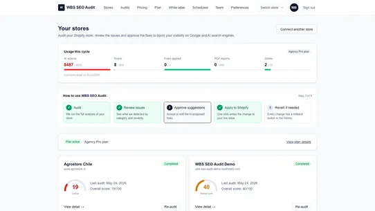 WBS SEO Audit screenshot
