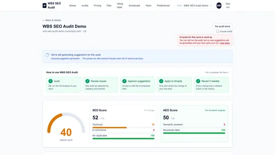 WBS SEO Audit screenshot