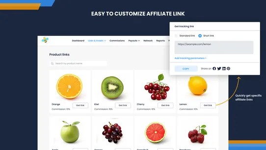 BixGrow Affiliate Marketing screenshot