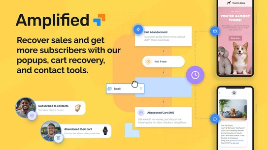 Amplified Email &amp; Abandon Cart screenshot