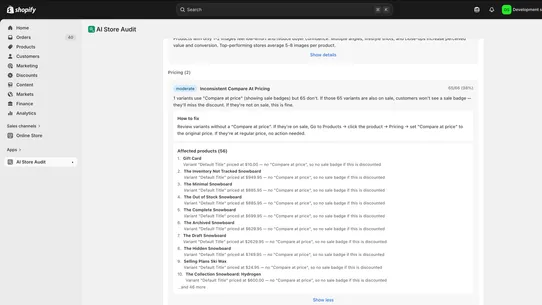 AIStoreAudit screenshot