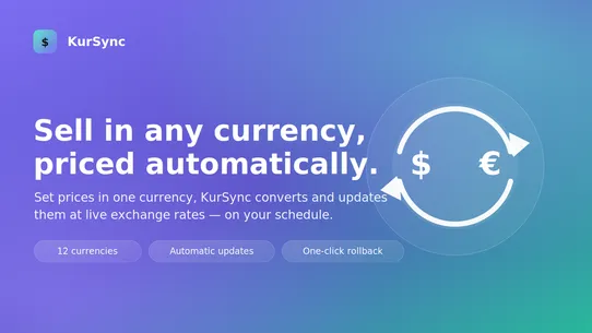 KurSync Currency Converter screenshot