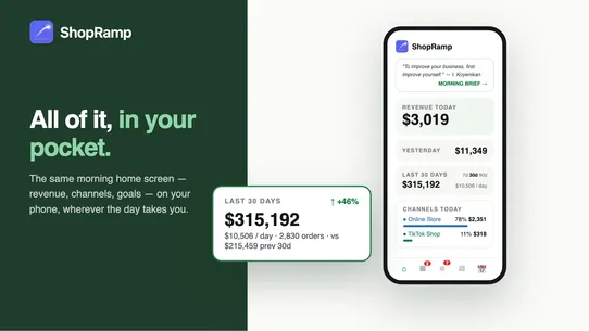 ShopRamp ‑ Sales by Channel screenshot