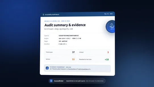 AccessBinder: ADA WCAG Audit screenshot