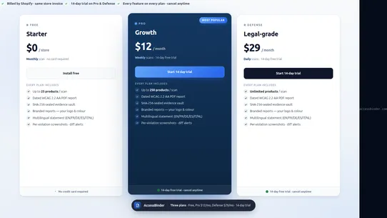 AccessBinder: ADA WCAG Audit screenshot