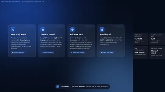 AccessBinder: ADA WCAG Audit screenshot