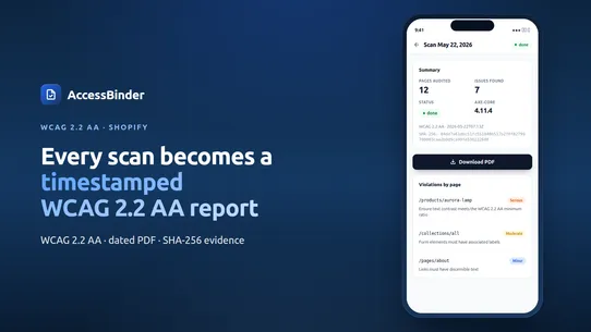 AccessBinder: ADA WCAG Audit screenshot