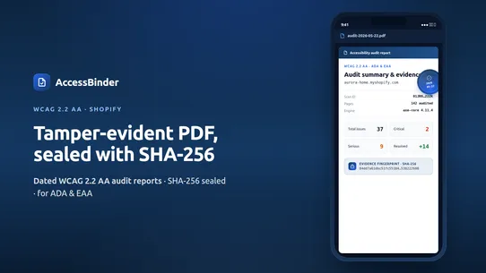 AccessBinder: ADA WCAG Audit screenshot