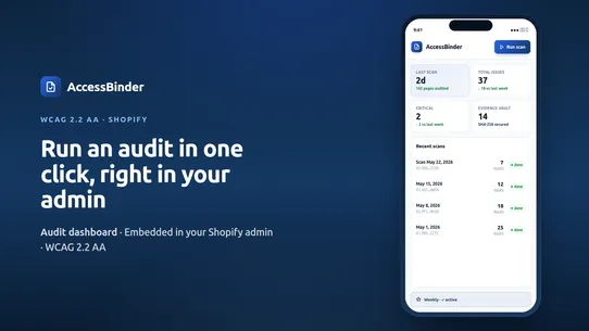 AccessBinder: ADA WCAG Audit screenshot