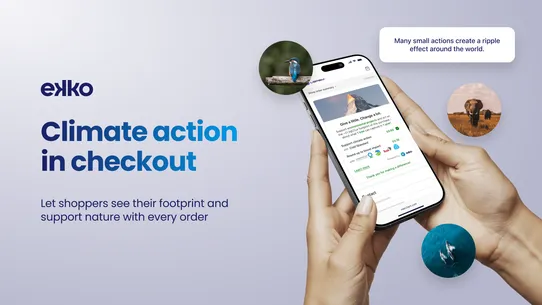 ekko: embedded climate action screenshot
