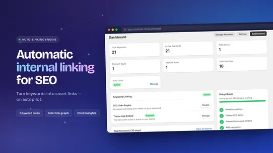 SEO Link : Internal Linking screenshot