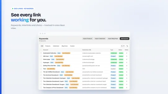 SEO Link : Internal Linking screenshot
