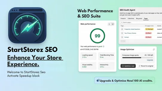 SS SEO screenshot