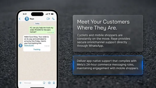 Raye | Expert AI Assistant screenshot