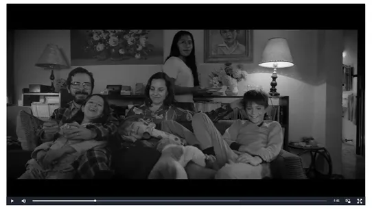 WpStream Video Player screenshot