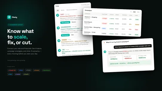 Clevly ‑ AI Business Copilot screenshot