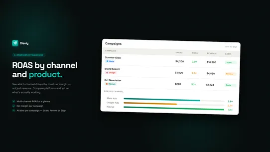 Clevly ‑ AI Business Copilot screenshot