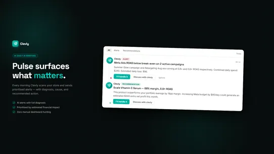 Clevly ‑ AI Business Copilot screenshot