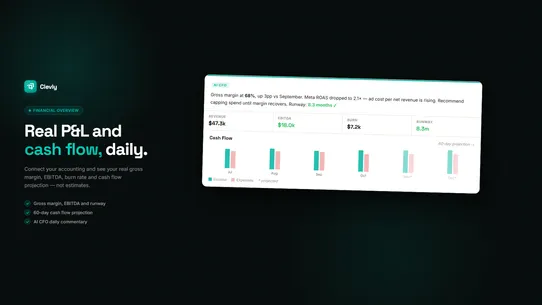 Clevly ‑ AI Business Copilot screenshot