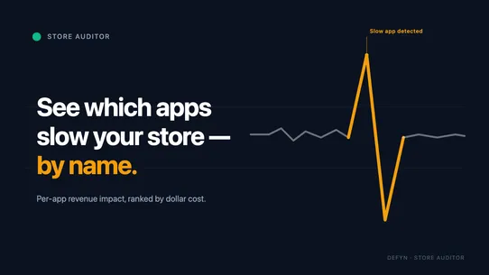 Store Auditor screenshot