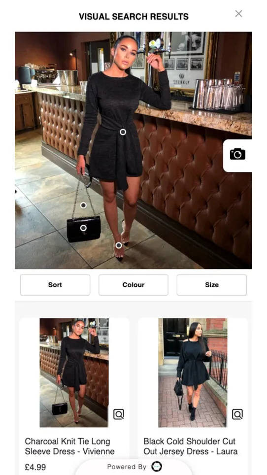 Visual Search screenshot