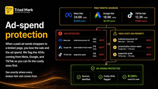TM AI Broken Link Manager screenshot