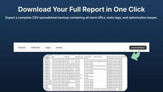 Razor Growth SEO Tech Audit screenshot