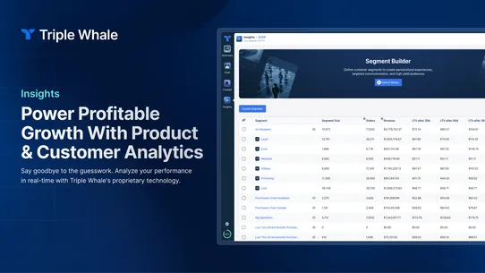 Triple Whale Analytics screenshot