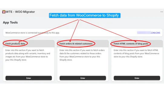 WTE ‑ WOO Migrator screenshot