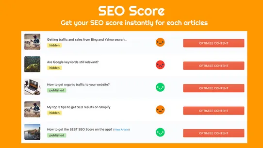 SEO Blog Optimizer screenshot