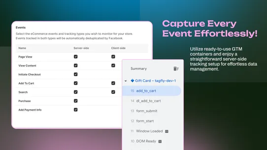 TagFly Google Ads, Tag Manager screenshot