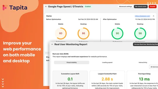 Tapita SEO &amp; Speed Optimizer screenshot