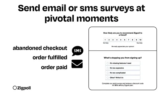 Zigpoll Customer Surveys screenshot