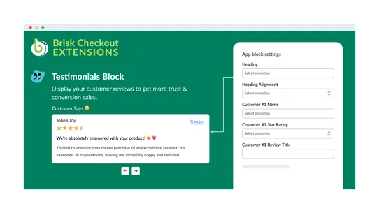 Brisk Checkout Customizer screenshot