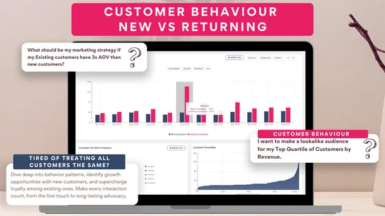 DataDrew LTV : Lifetime Value screenshot