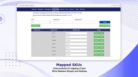 Robust NetSuite Integrator screenshot