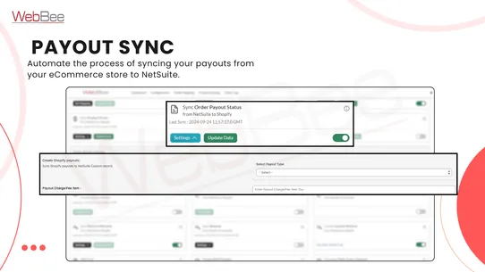 Robust NetSuite Integrator screenshot