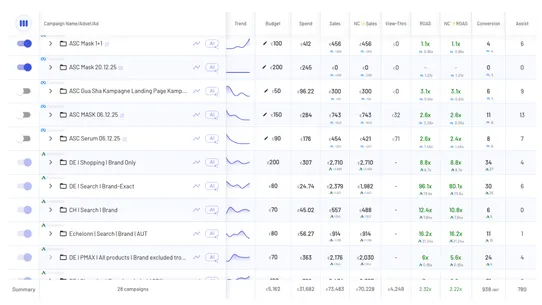 TrueROAS ‑ AI Ad Attribution screenshot