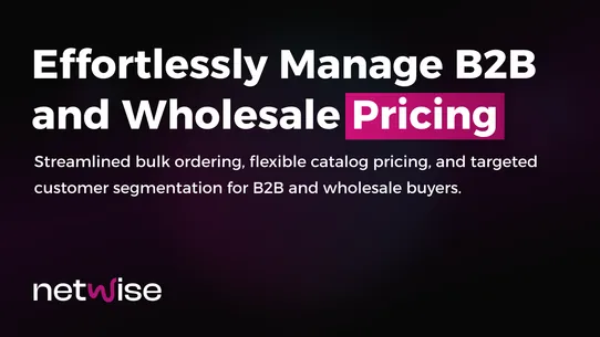 NetWise: B2B &amp; Wholesale screenshot