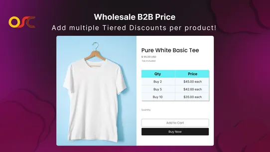 OSCP Wholesale B2B screenshot