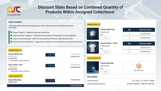 OSCP Wholesale B2B screenshot