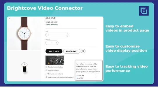 Brightcove Video Connector screenshot